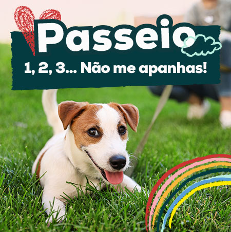 Promoções produtos de passeio