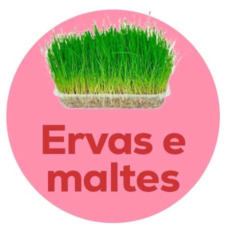 Ervas e maltes
