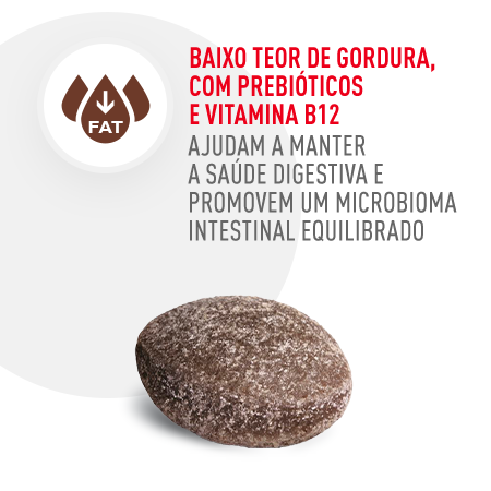 Baixo teor de gordura, com prebióticos e vitamina B12. Contribui para um microbioma intestinal equilibrado.
