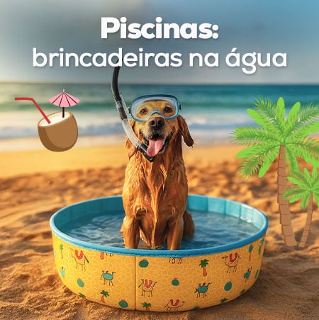 Piscina e complementos