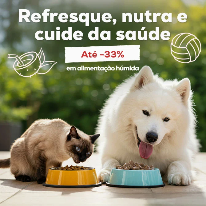 Refresque, nutra e cuide da sua saúde: Até -33% numa seleção de húmido