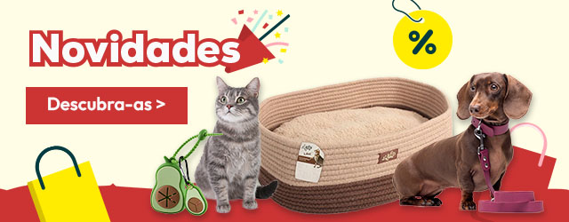 Descubra todas as novidades