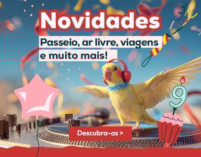 Descubra as melhores novidades de Aniversário