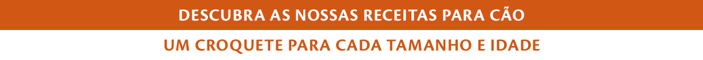 Encontre o produto adequado para o seu cão