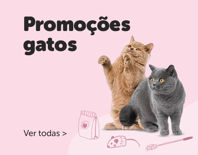 Promoções gatos