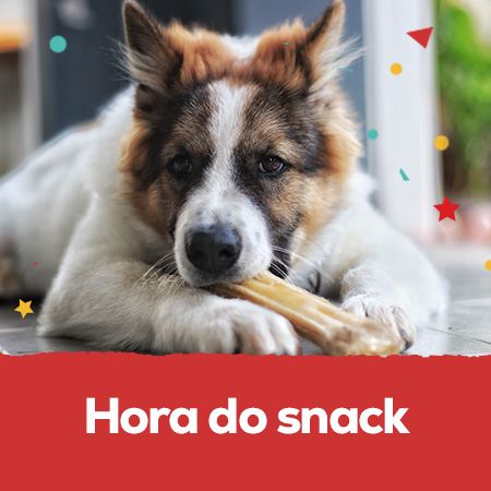 Snacks: Até 30% numa seleção de snacks para cão e gato
