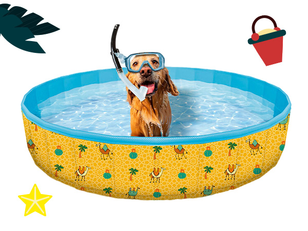 Piscinas para cães