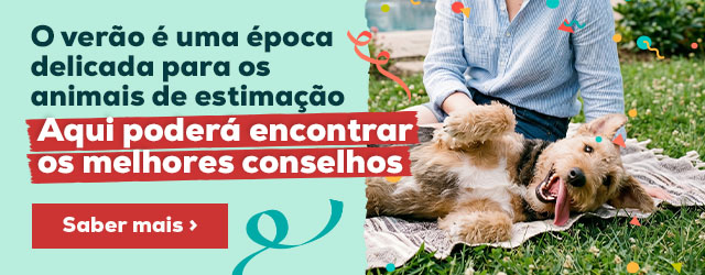 Aproveita para dar um bom mergulho neste verão