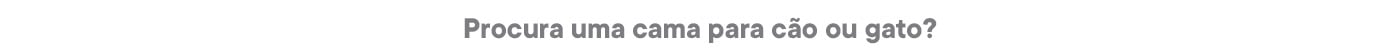 Procura uma cama para cão ou gato?