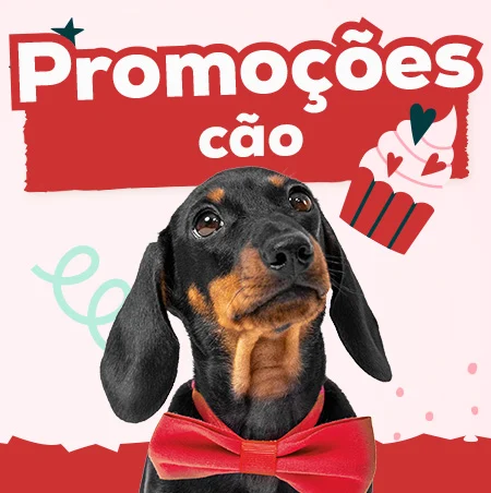 Promoções para cão