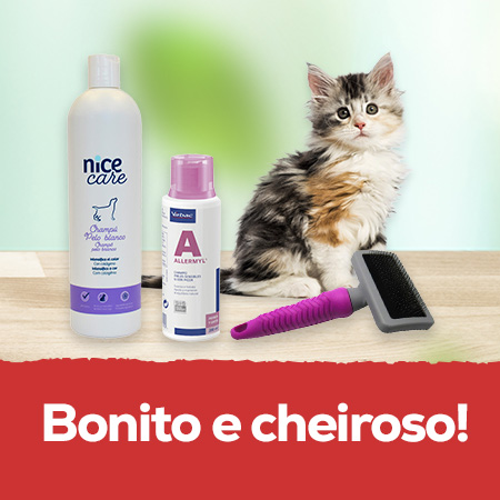 Pelo cuidado, limpo e brilhante