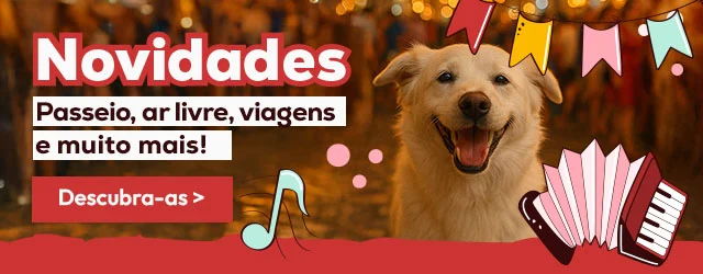 Descubra todas as novidades