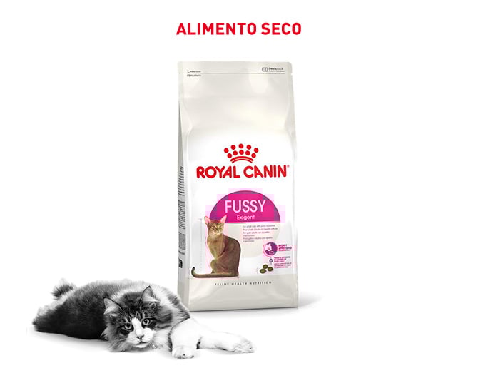 Royal Canin Fussy: a ração perfeita se o seu gato tem um paladar exigente
