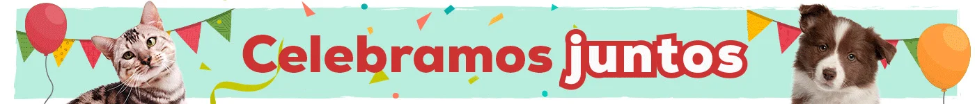 10º Aniversário: Até -50% numa seleção de acessórios