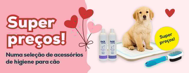 Super preços numa seleção de acessórios para cão