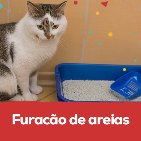 Casa limpa e sem cheiros