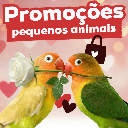 Promoções para coelhos e roedores
