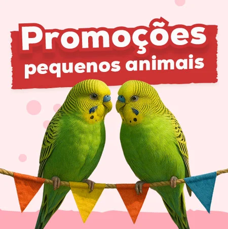 Ofertas para pequeñas mascotas