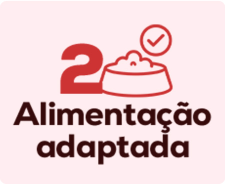 Escolha a alimentação adequada para o seu gatinho