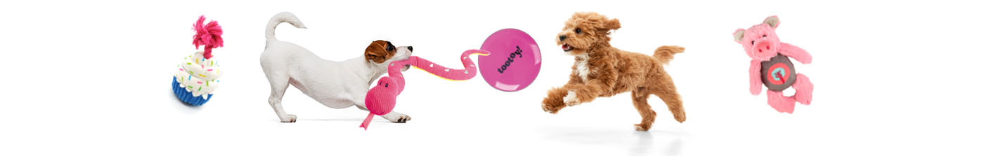 Brinquedos  Tootoy