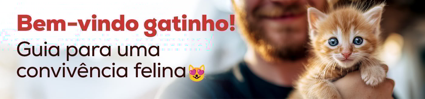 Bem-vindos, gatinhos. Guia para gatinhos recém-chegados. Tudo o que precisa saber, passo a passo.