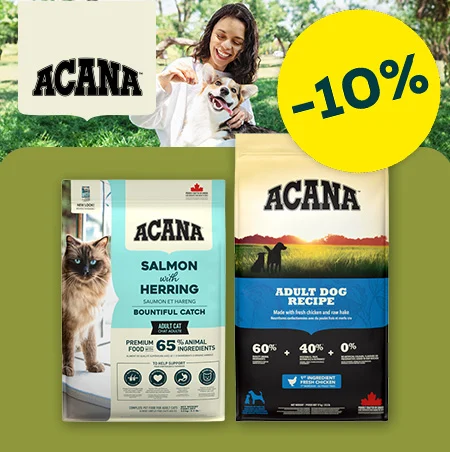 Aniversário Kiwoko: Até -50% em mais de 1000 produtos