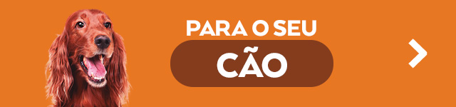 Cães