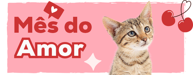 Mês do Amor: Até -30% numa seleção de acessórios para gato