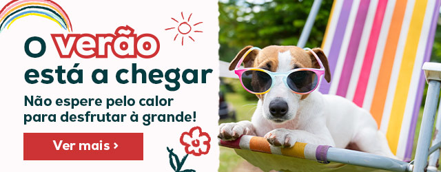 Antecipe o verão