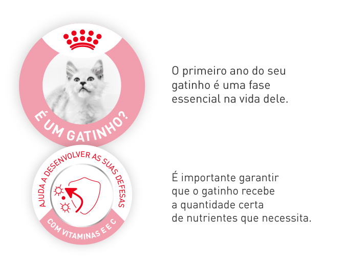 O primeiro ano do seu gatinho é uma etapa essencial — assegure-se de que recebe a quantidade certa de nutrientes de que precisa.