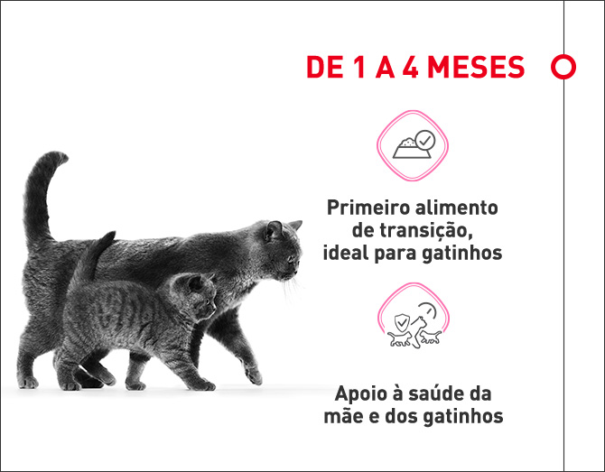 Alimentação dos um aos quatro meses