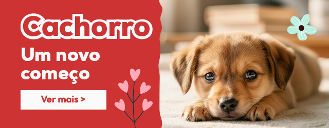 Catálogo cachorro: Tudo o que precisa para lhe dar as boas-vindas