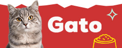 Descubra as marcas mais Animal Lovers para gato