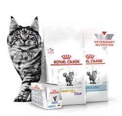 Descubra nossos produtos veterinários para GATOS