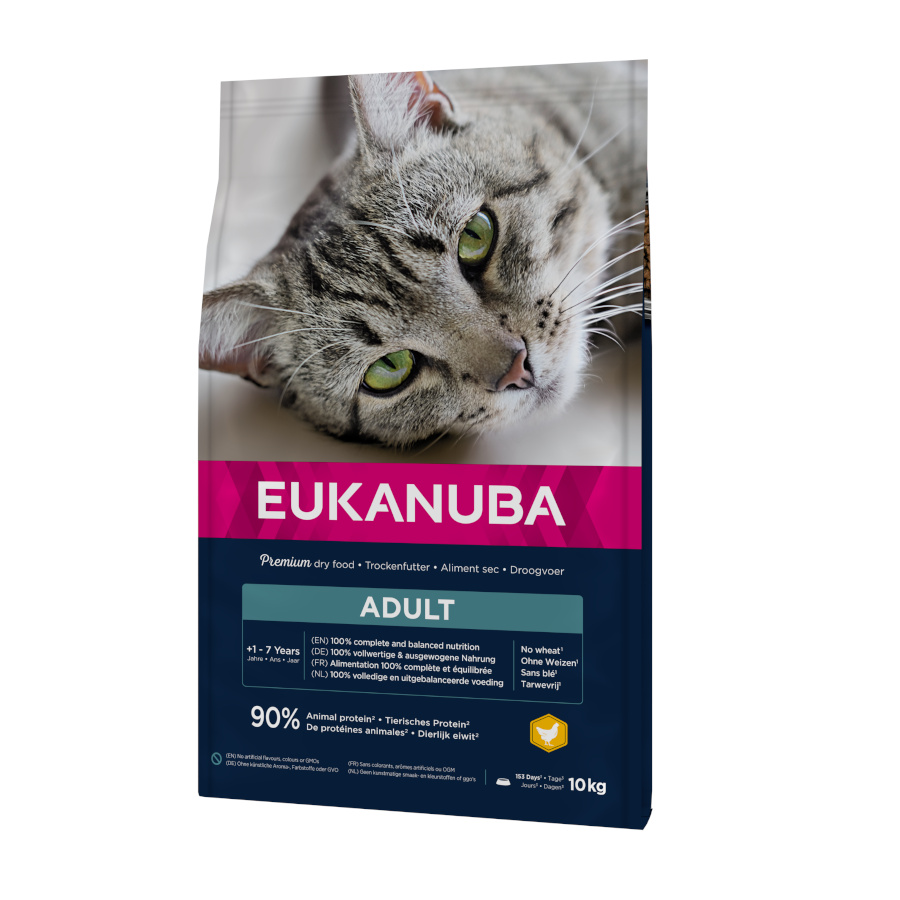 Eukanuba Adult frango ração para gatos