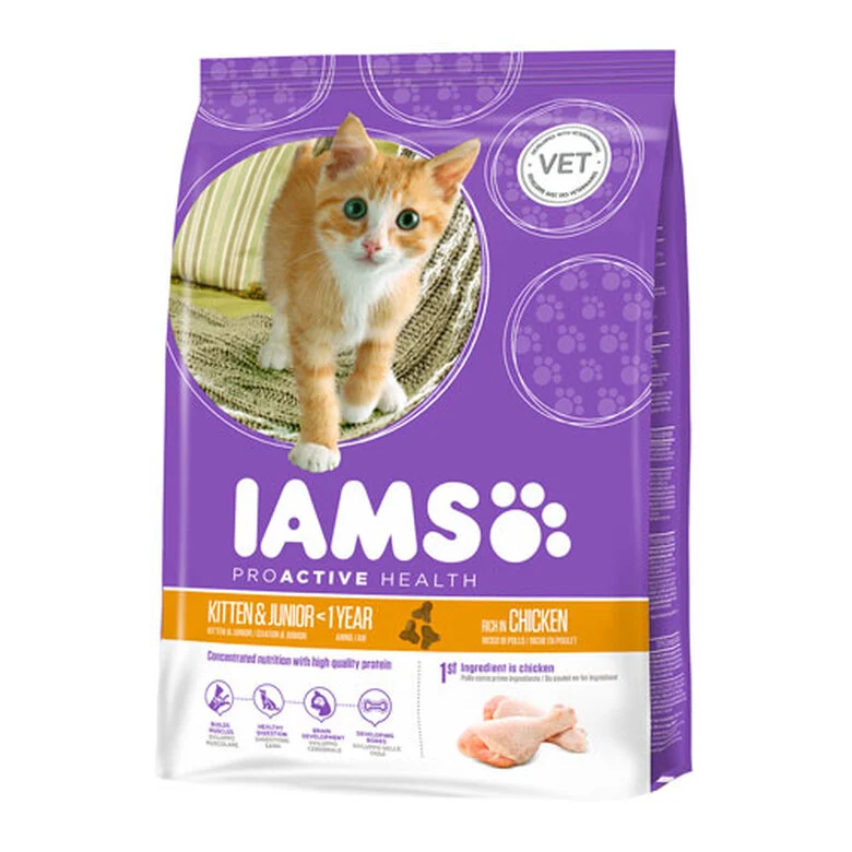 IAMS Kitten&Junior Frango ração para gatos