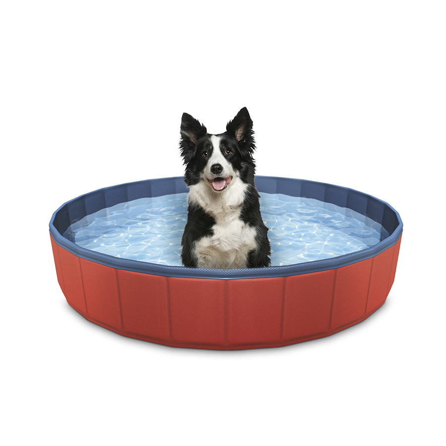 Summer Vibes Piscina para cães