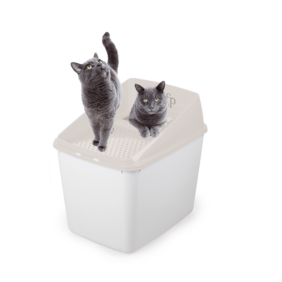 Tapete Para Areia De Gato UPSKY 88x58cm - Controle De Espalhamento