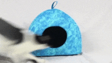 Cama Igloo Catshion para gato Cama Igloo Catshion para gato