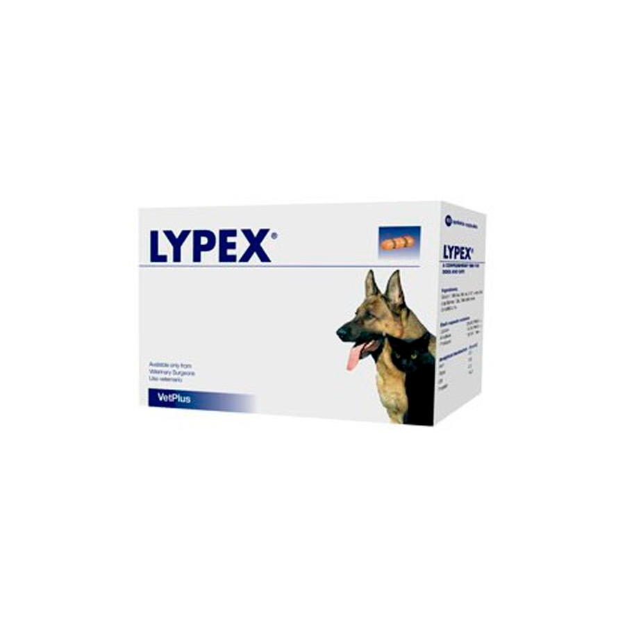 Lypex para Problemas Pancreáticos em Cães e Gatos 60 Cápsulas 