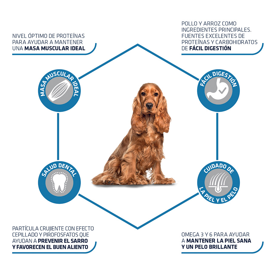 pienso_perros_affinity_advance_adult_medium_beneficios_ADV508319_M.jpg image number null