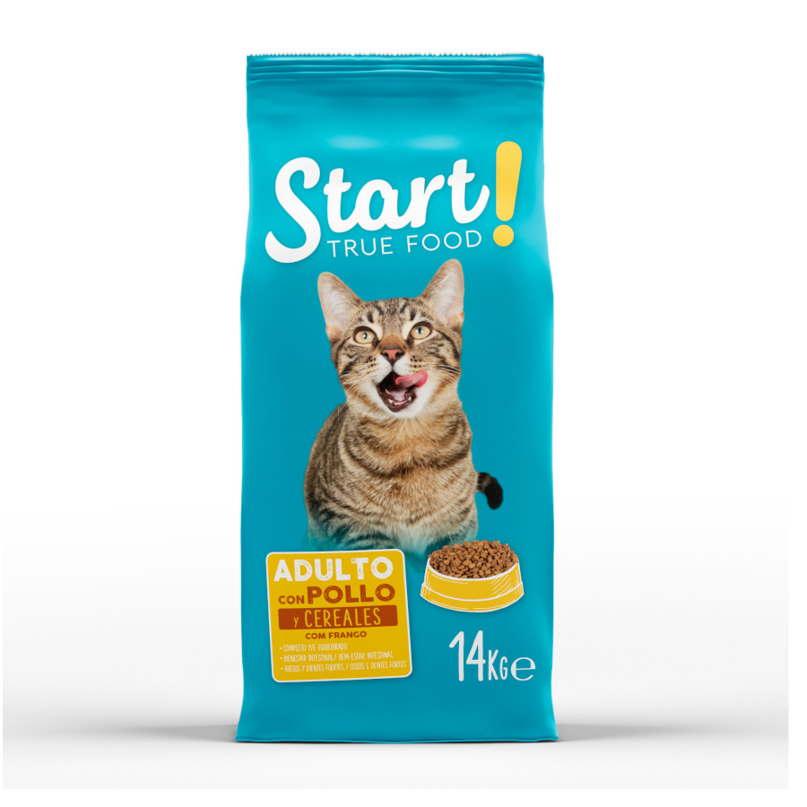 Start! Adulto Frango e Cereais ração para gatos