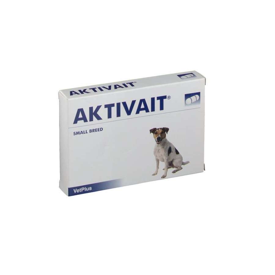 Aktivait para a Função Cerebral em Cães Pequenos Mais Antigos 60