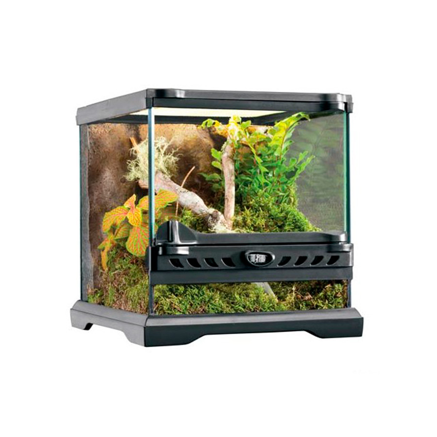 Terrário Natural Mini de Exo Terra Mini Tall Kiwoko