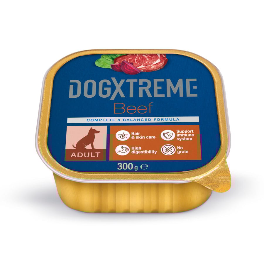 Dogxtreme Adult Carne de Vaca terrina para cães