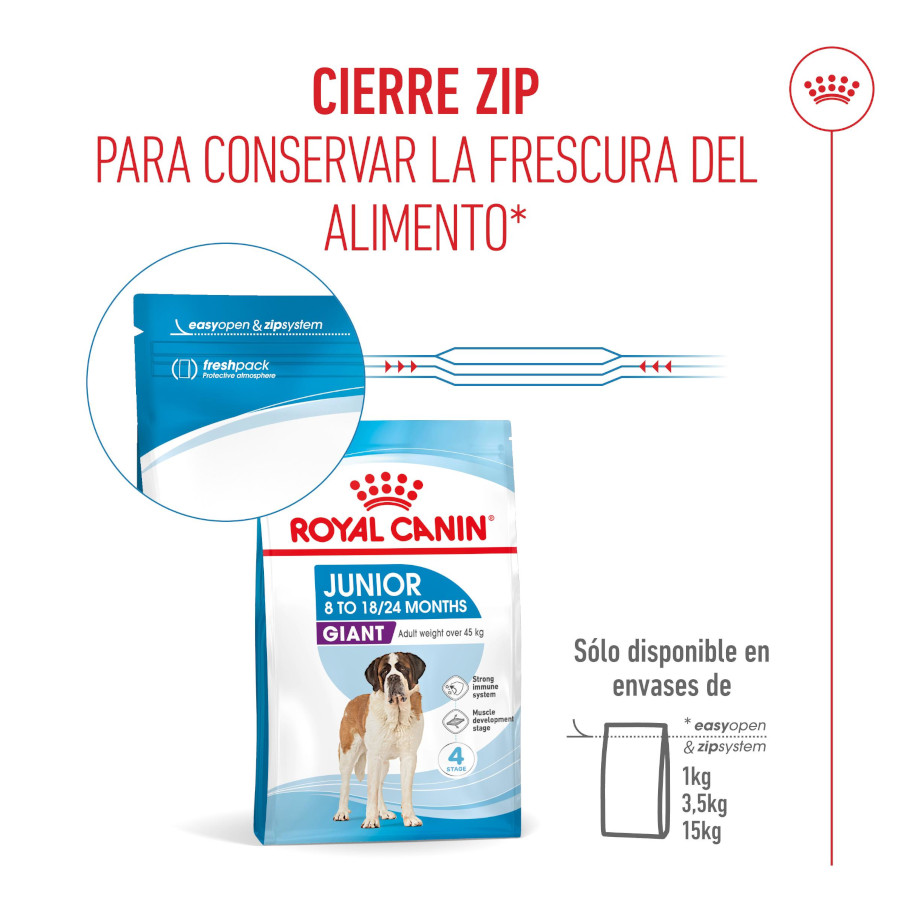 15 kg Royal Canin Junior Giant ração para cães