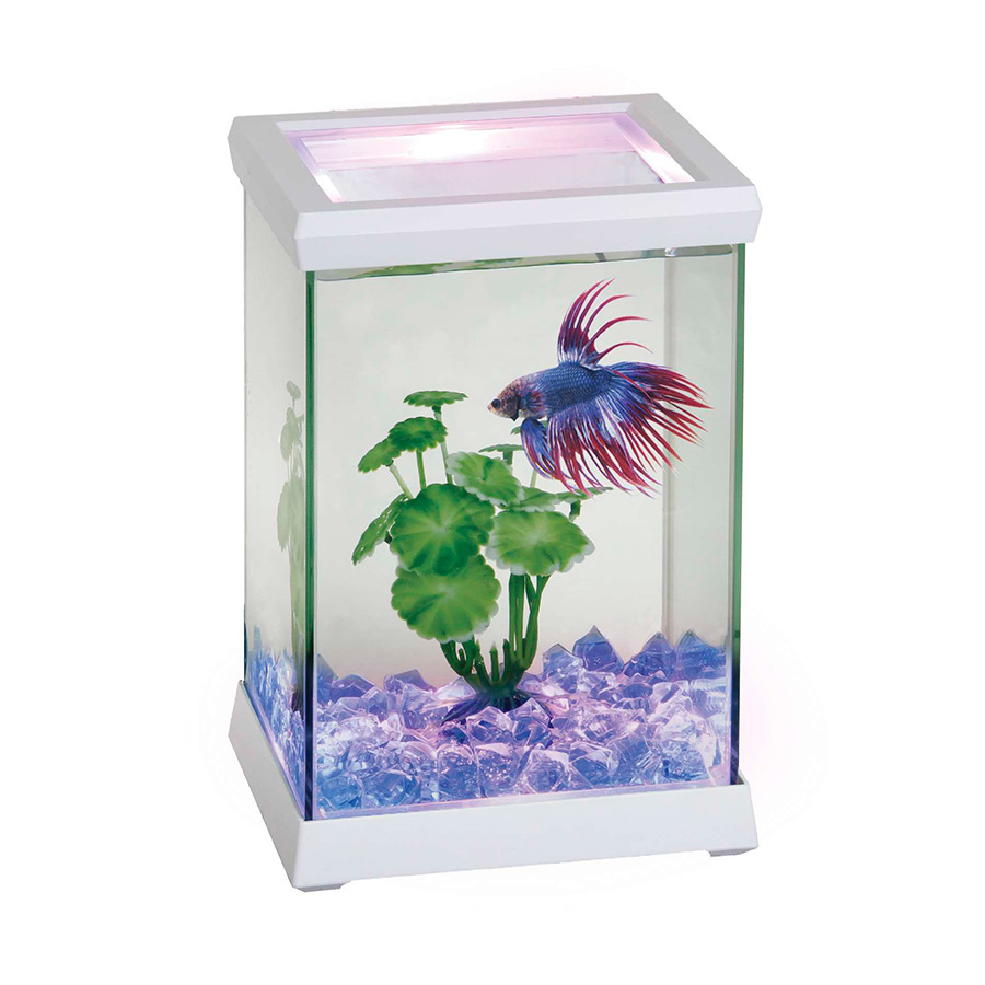 Aquario vortex 4 7ss