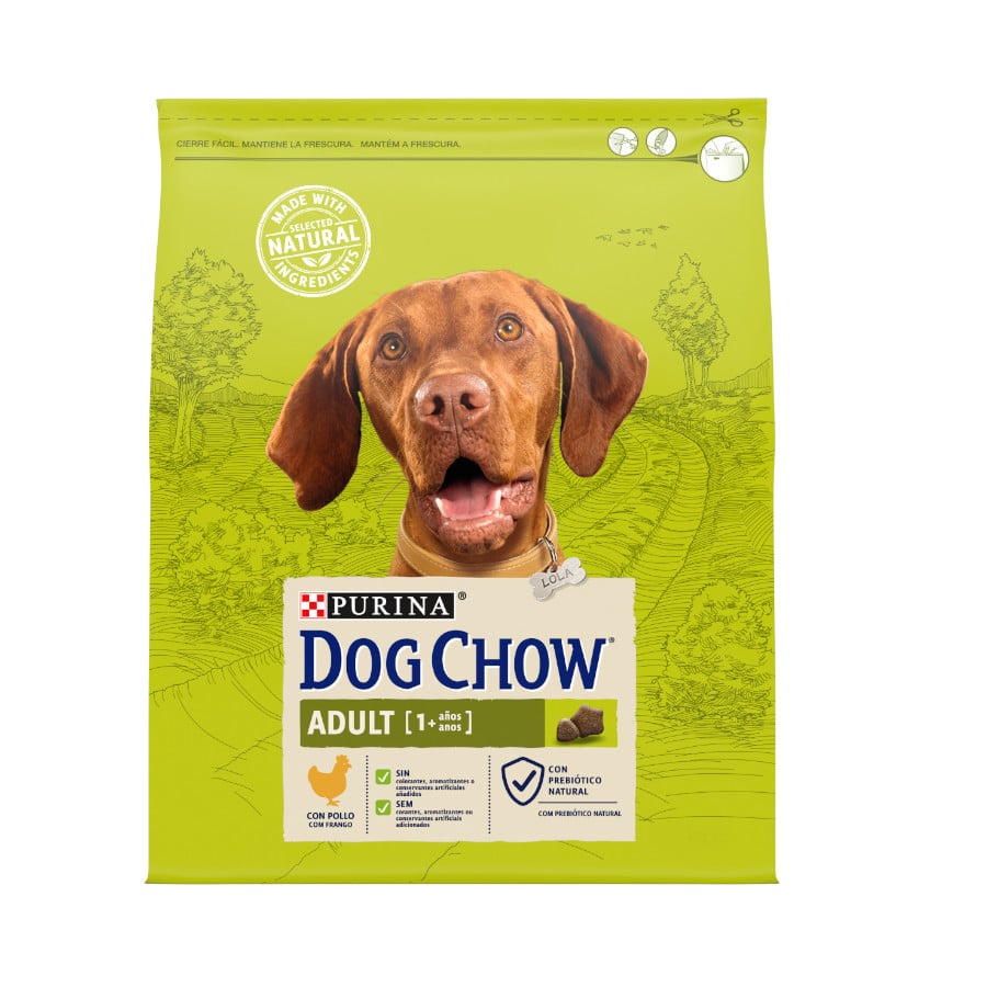 14 kg Dog Chow Adult Frango ração para cães