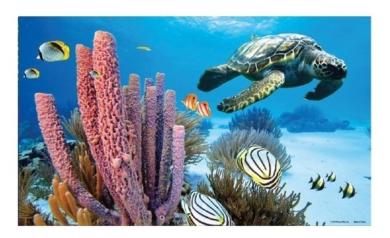 Imagem de fundo em 3D para aquários Póster Marino