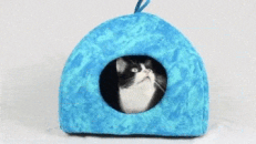 Cama Igloo Catshion para gato Cama Igloo Catshion para gato